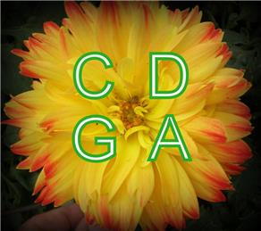 Collingham and District Gardening Association Logo